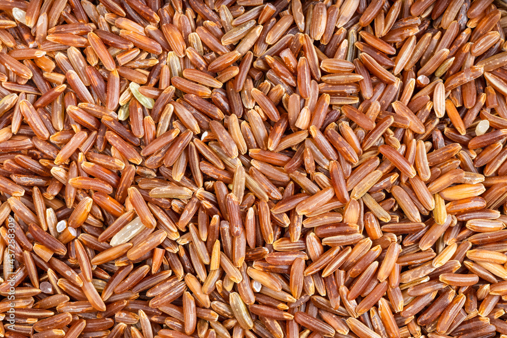 background - many raw red rice grains