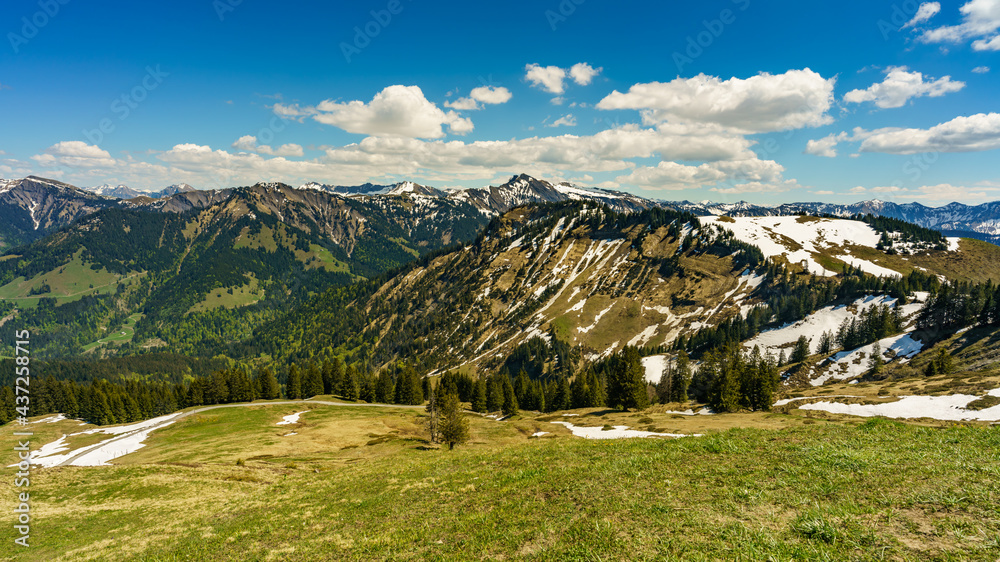 Blick von der Hohen Kugel über Ebnit zum Hohen Freschen, Mörzelspitze und First, bis in den Bregenzerwald. Frühling mit blühenden Alpwiesen. Panorama