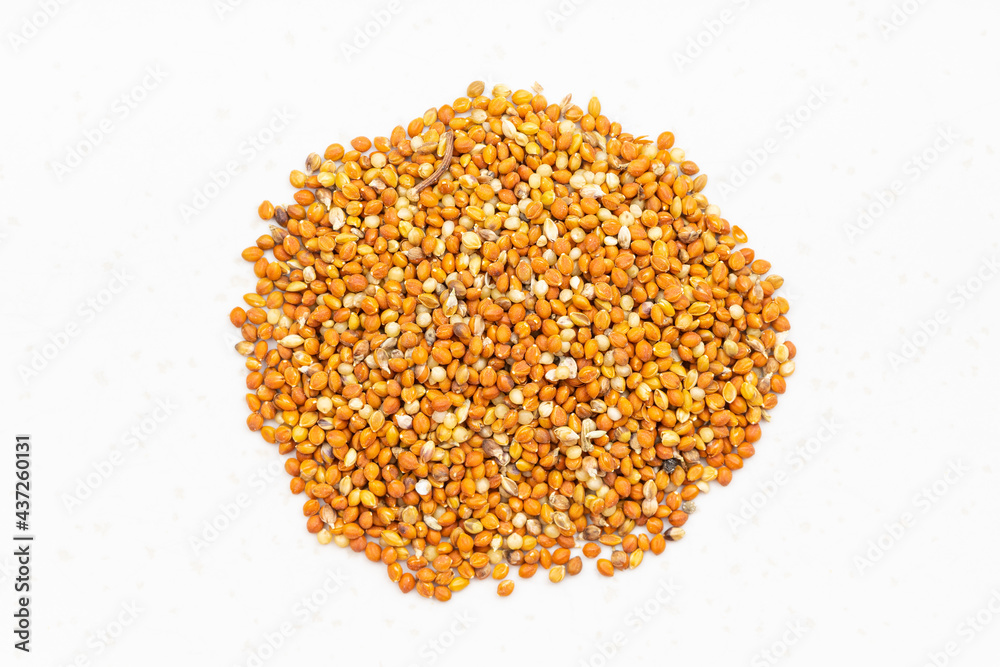 pile of chumiza siberian millet seeds close up pile of chumiza siberian millet seeds close up