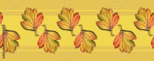 Seamless pattern, border, Orange autumn leaves on yellow striped background