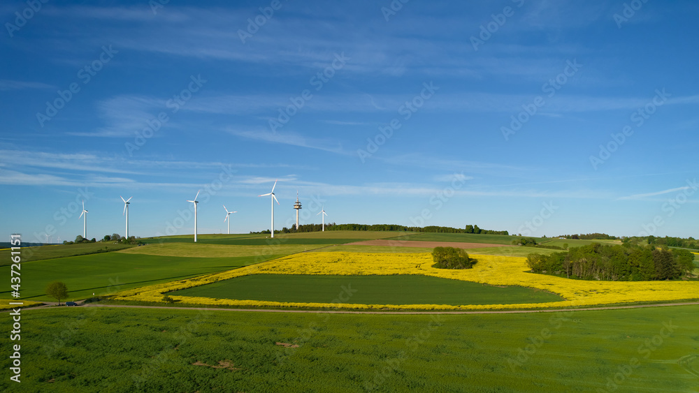 wind turbines in the rapeseed and wheat field, aerial view
wind turbines in the rapeseed and wheat field, aerial view