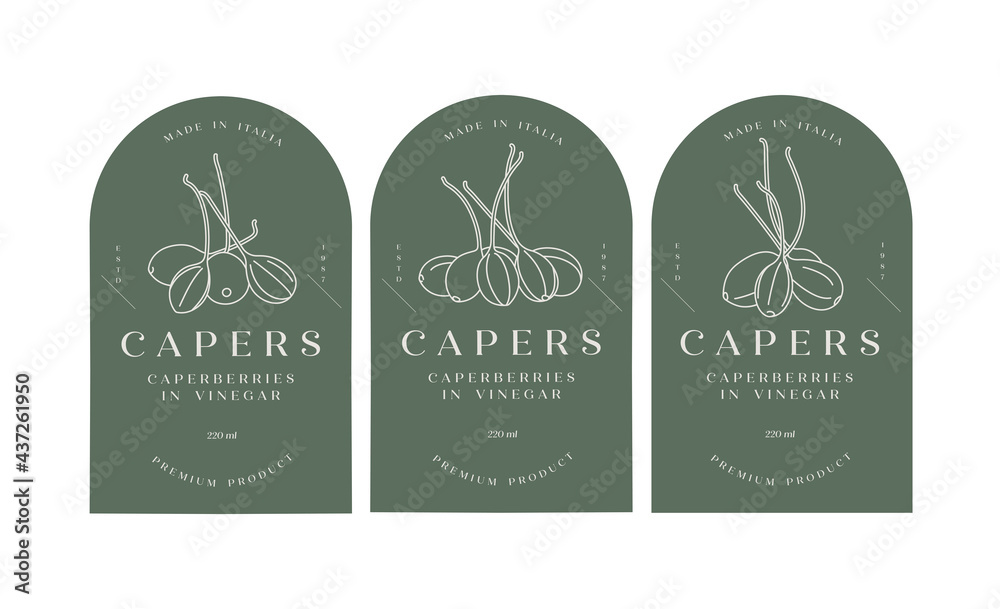 Vector set labels with pickled capers - simple linear style. Emblems composition with caperberries and typography.