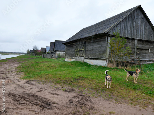  Jagłowo – wieś w Polsce położona w województwie podlaskim. Stare malownicze stodoły nad rzeką Biebrzą