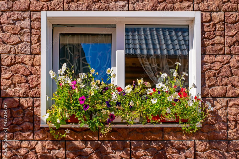 view of colorful flowers of creepers on the window sill of a beautifully decorated window of a house made of decorative cladding made of red orange stone