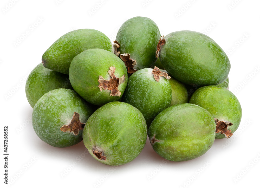 feijoa path isolated on white feijoa path isolated on white
