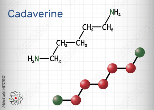 Cadaverine, pentamethylenediamine molecule. It is foul-smelling diamine formed by bacterial decarboxylation of lysine. Sheet of paper in a cage