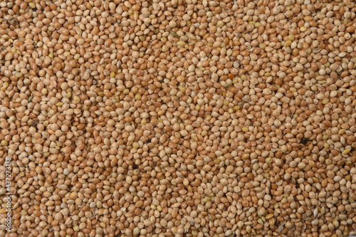 texture of grain of yellow millet on white background