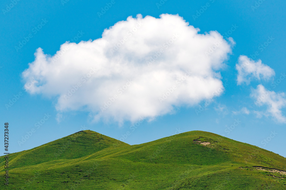 Obraz premium Green alpine meadows in the highlands