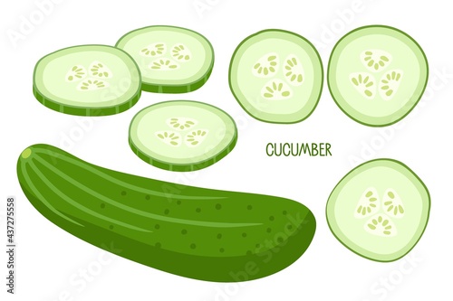 Cucumber. Whole cucumber and chopped pieces. Fresh farm vegetables for diet. Ingredients for cooking. Flat design style for menu, cafe, restaurant, poster, banner, emblem, sticker, recipe design .