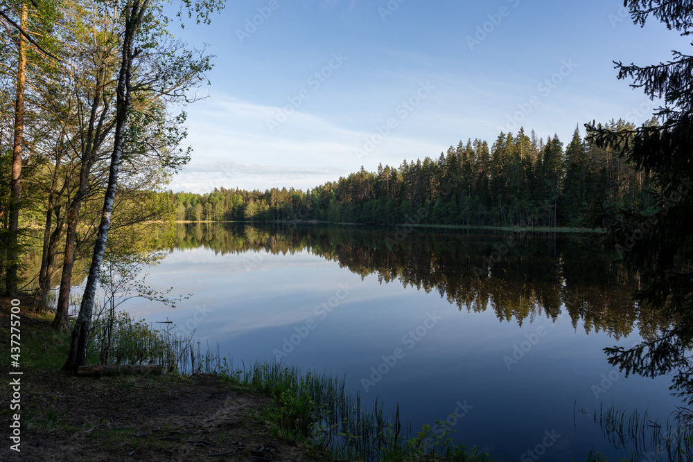 lake in the middle of the forest with very dark water and along the edges grows green grass with small birches