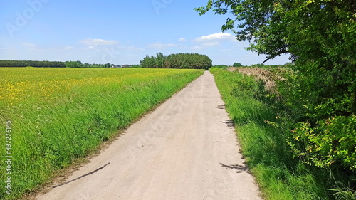 Dirt road surrounded by green fields. Landscape in Lower Silesia area. Beautiful spring in Poland.