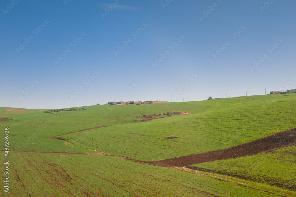 green gentle meadows hills agriculture in Morocco