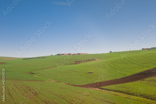 green gentle meadows hills agriculture in Morocco