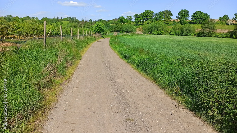 Curved dirt road. Green landscape in Lower Silesia area. Beautiful spring in Poland. Curved dirt road. Green landscape in Lower Silesia area. Beautiful spring in Poland.