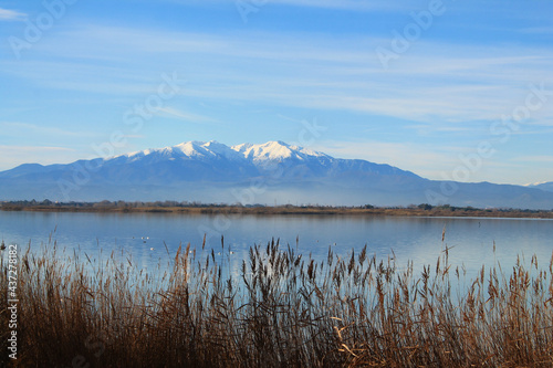 The Canet en Roussillon lagoon  a protected wetland in the south of Perpignan  France 