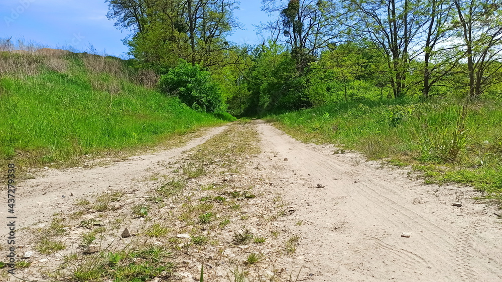 Dirt road surrounded by green fields. Landscape in Lower Silesia area. Beautiful spring in Poland.