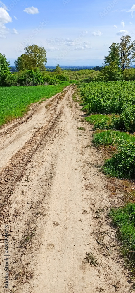 Dirt road surrounded by green fields. Landscape in Lower Silesia area. Beautiful spring in Poland. Dirt road surrounded by green fields. Landscape in Lower Silesia area. Beautiful spring in Poland.
