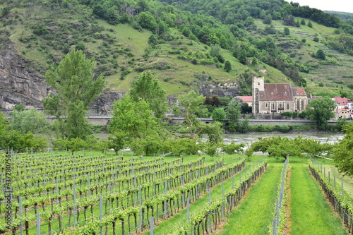 Sankt Michael church in village Weissenkirchen Wachau Valley Lower Austria