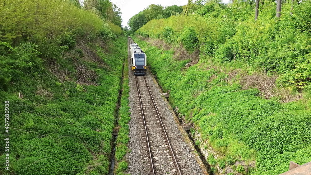 Fototapeta premium Passenger train in the gorge. Green landscape in Lower Silesia area. Beautiful spring in Poland.