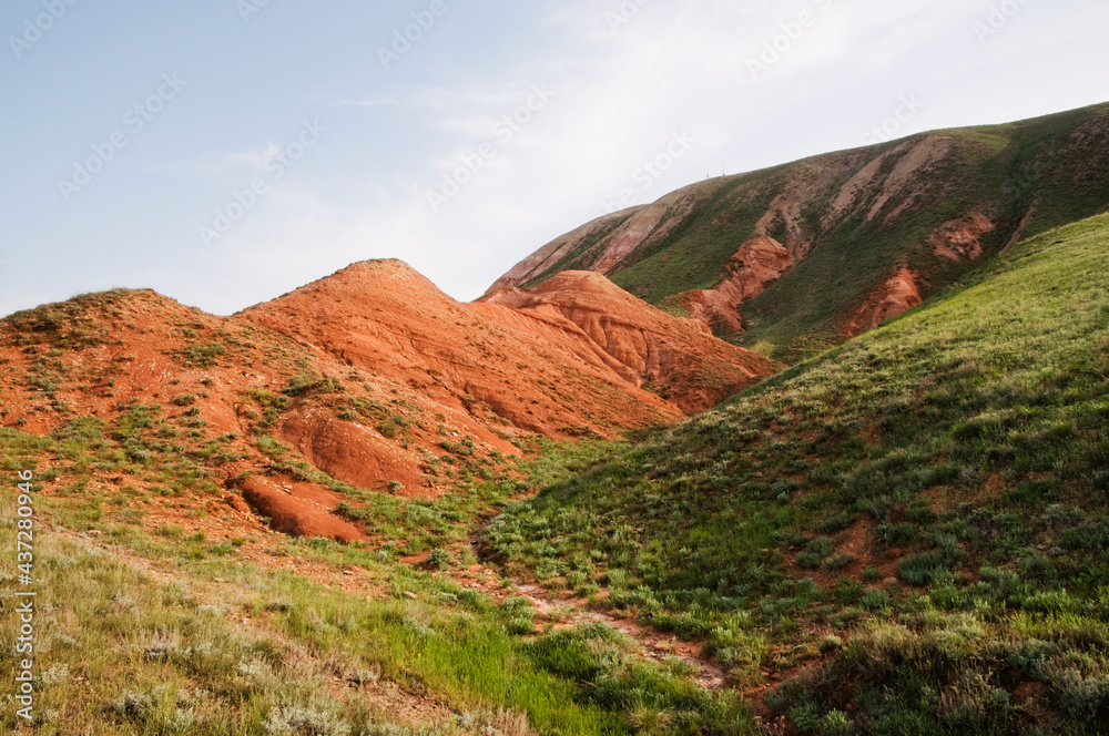 These red ancient clays of the Permian period and are 250 - 290 million ...