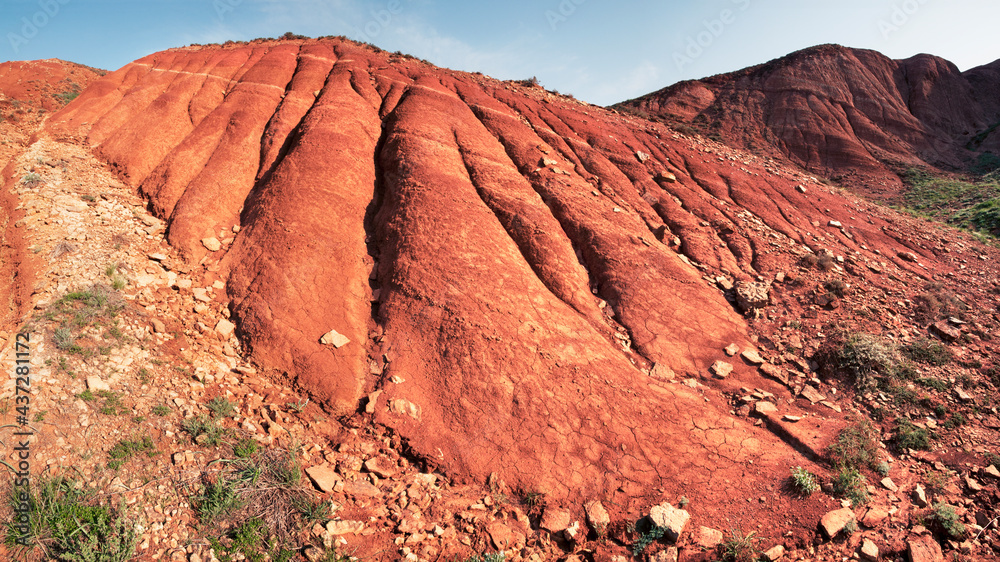 These red ancient clays of the Permian period and are 250 - 290 million ...
