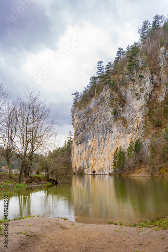 lake in the forest