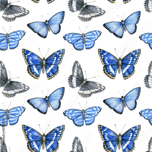 Watercolor seamless pattern with bright blue tropical butterflies on white background. © Svetlana