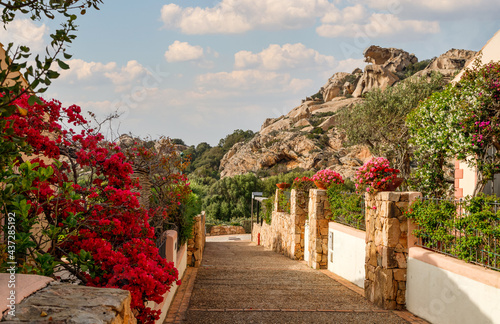 Fototapeta Naklejka Na Ścianę i Meble -  Picturesque street in Palau leading to the Bear Rock, unique gigantic natural sculpture, landmark of Palau, Sardinia island, Italy.