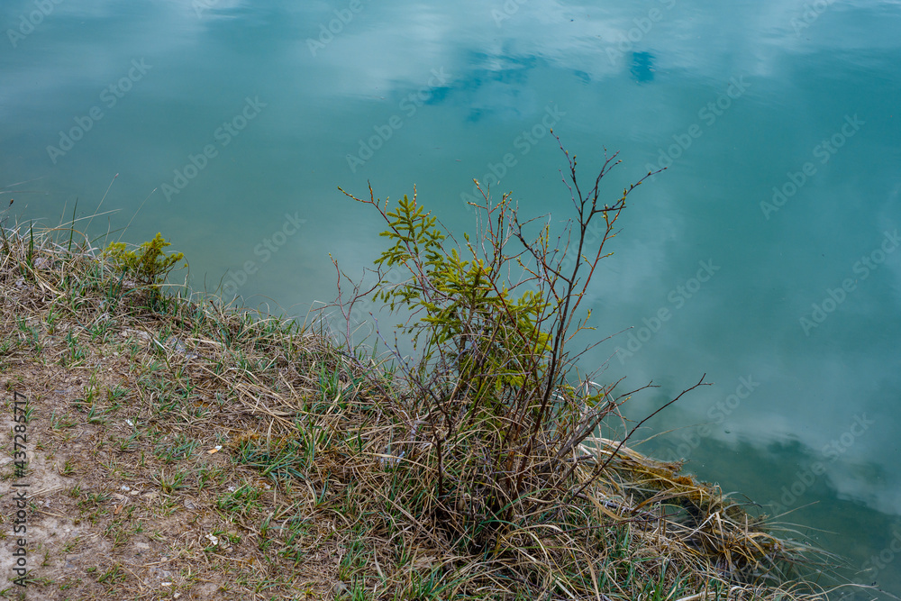 small rural pond with grass and reflections in water small rural pond with grass and reflections in water
