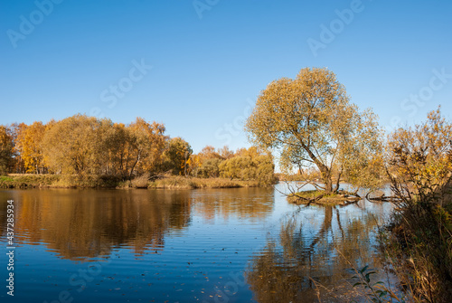 Autumn landscape. Trees with golden leaves are reflected in the water of the lake.