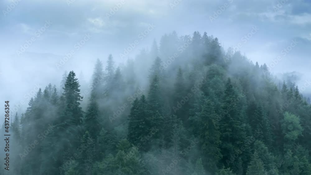 Flying through the clouds above mountain tops. Misty mountain forest covered by the dense fog.