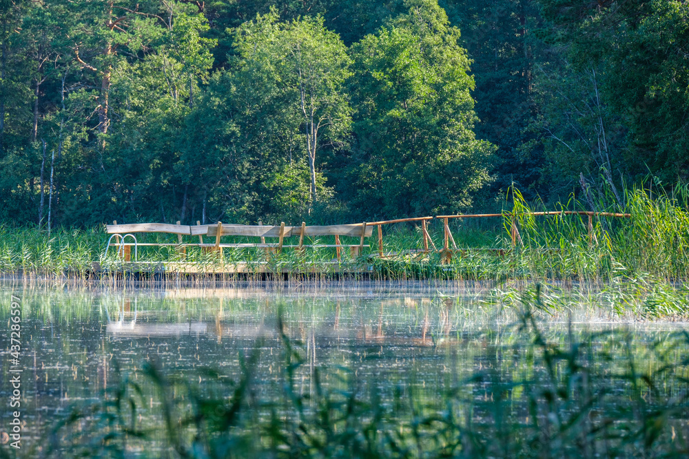 countryside forest river in summer with high grass and foliage countryside forest river in summer with high grass and foliage
