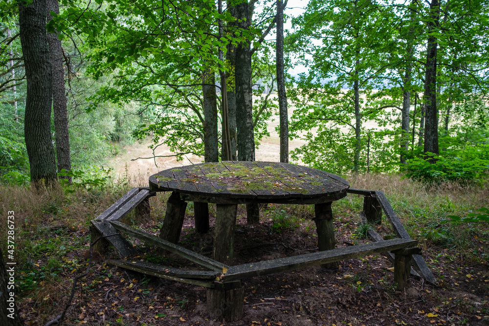 wooden plank footpath in forest for hiking wooden plank footpath in forest for hiking