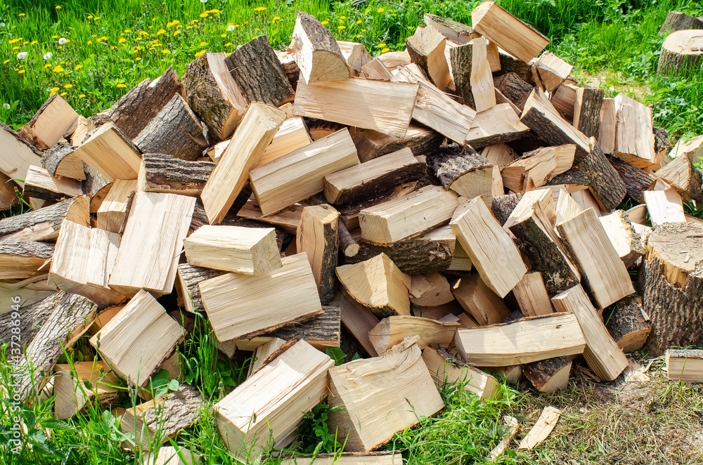 Firewood chopped with an ax on the green grass