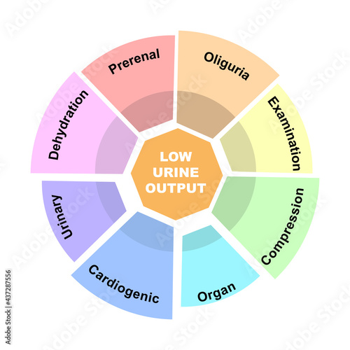 Diagram concept with Low Urine Output text and keywords. EPS 10 isolated on white background