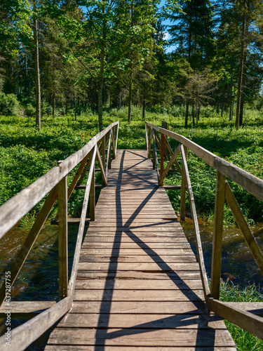 wooden plank footpath in forest for hiking