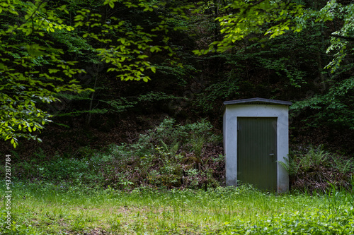 single cabin in dark wood © Horner