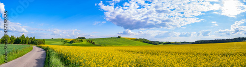 Obraz na płótnie Oilseed rape field with trees against blue sky