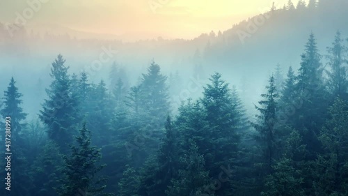 Flying through the clouds above mountain tops. Misty mountain forest covered by the dense fog.