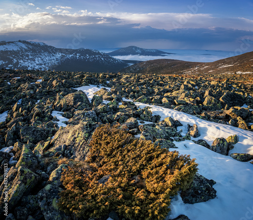 Ural mountains Konzhakovsky and Serebryansky kamen in May, Russia, Sverdlovsk region photo