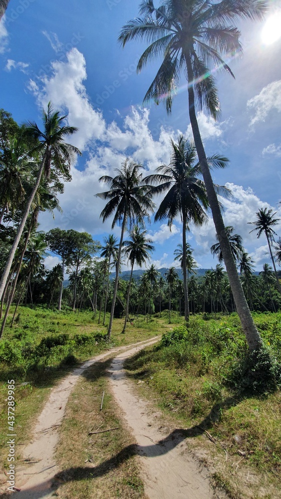 Diverse nature Ocean Sea Element Landscape Sky Clumps Mountains Palms Trees Beauty Lowland