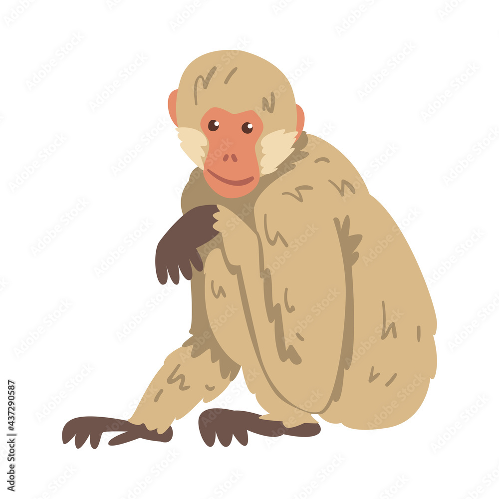 Monkey as Arboreal Herbivorous Ape in Sitting Pose Vector Illustration Monkey as Arboreal Herbivorous Ape in Sitting Pose Vector Illustration