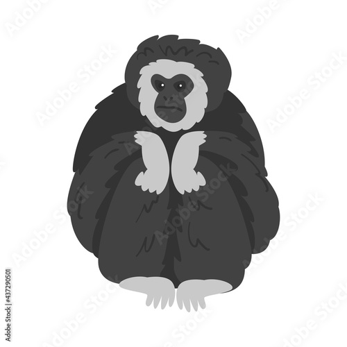 Canvastavla Pileated Gibbon Monkey as Ape with Black Shaggy Fur Vector Illustration