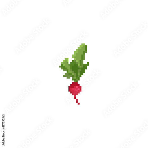 Pixel art radish icon. Vector vintage style illustration radish symbol for graphic web design, paper or fabric. 8 bit pixel retro style gaming radish icon.
