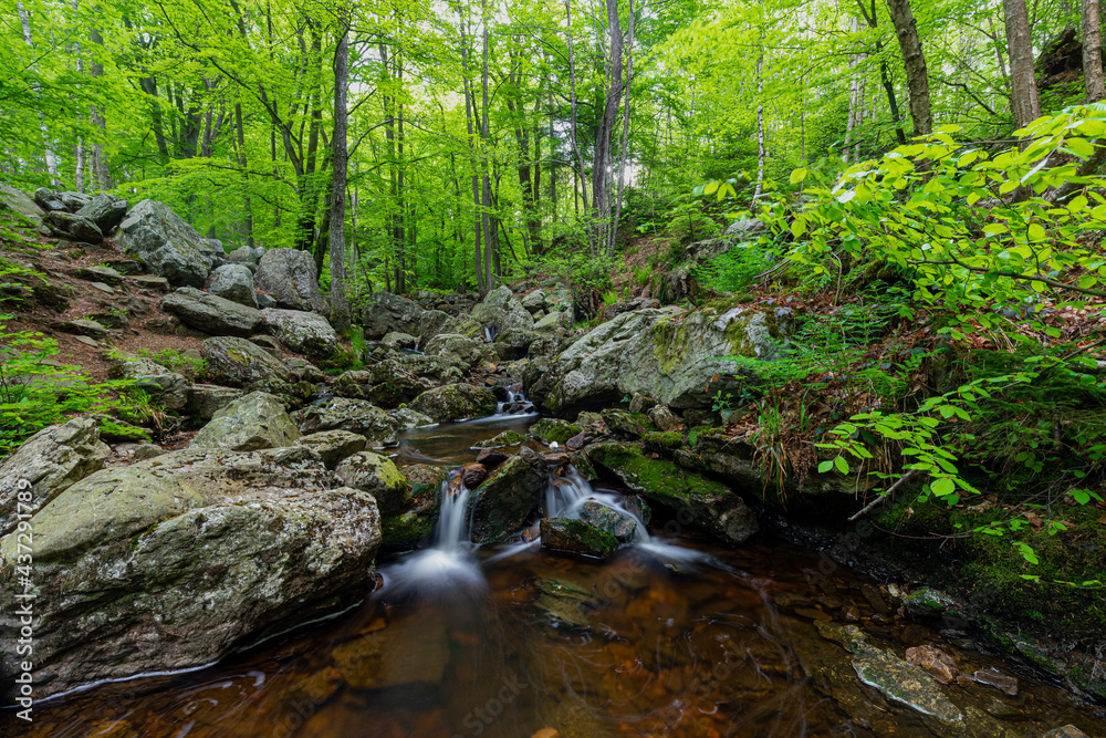 Statte river in the Belgium Ardennes is a small river full of cascades, like the Cascade de Nutons in the Liege Province. A perfect area of activities