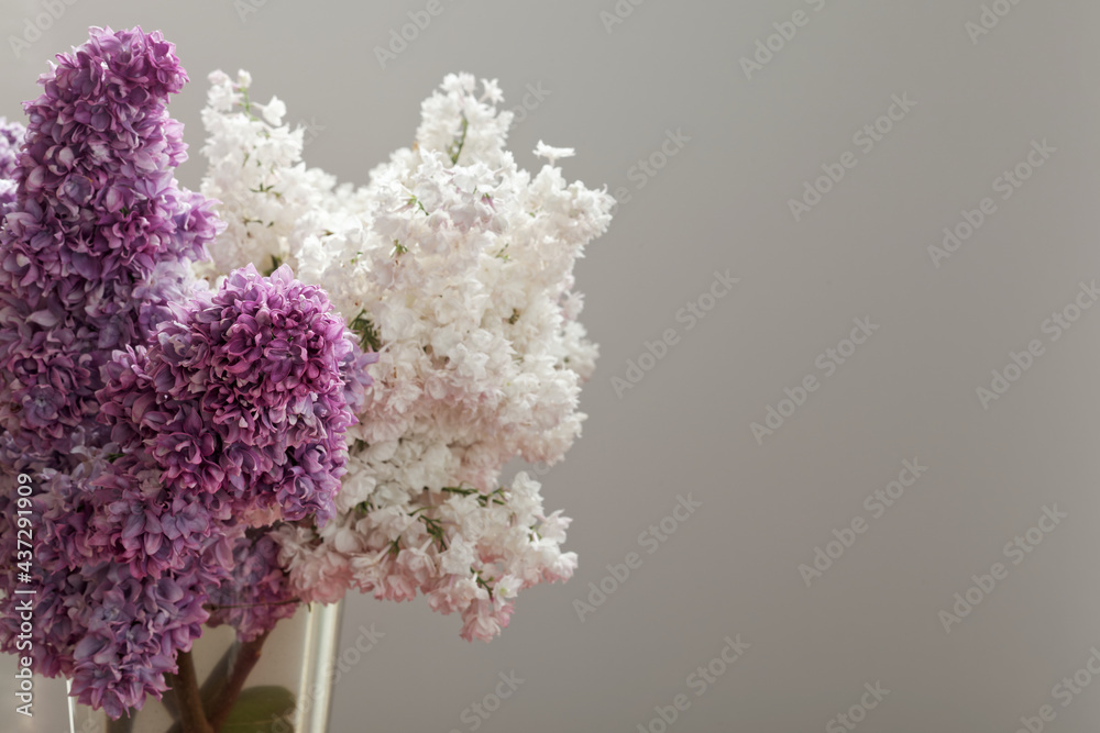Common lilac flowers bouquet. Blooming white and purple spring flowers in glass vase.