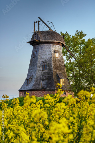 windmill in the country