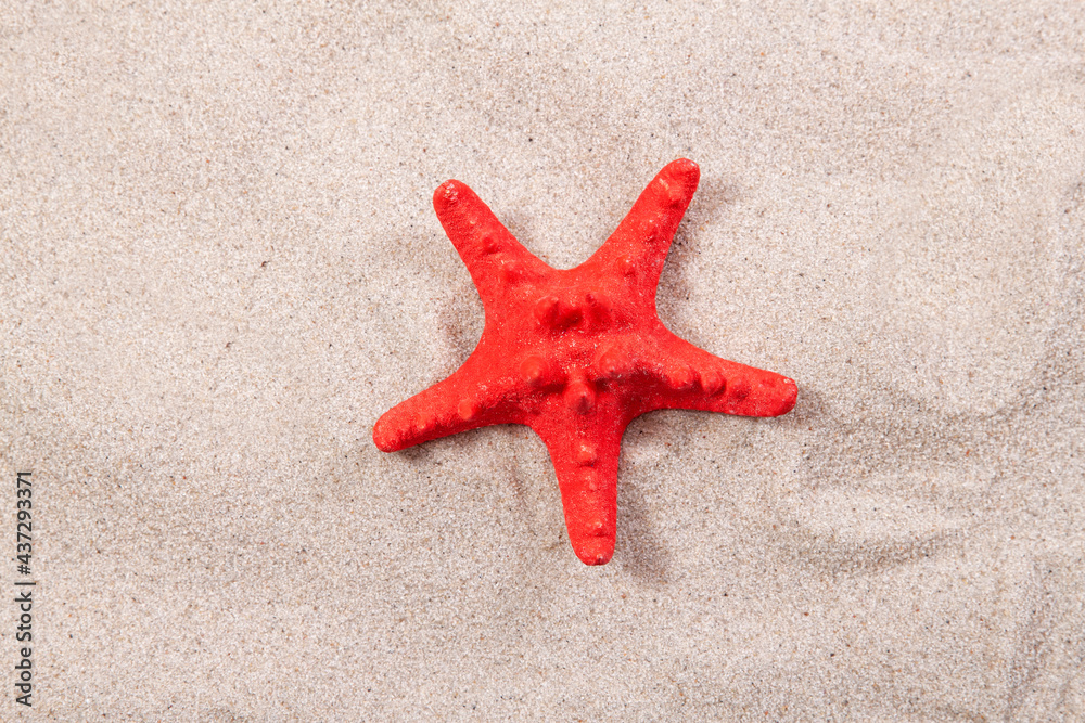 red starfish on the sand close-up top view. Starfish on the beach. Beach summer background with sand, sea and copyspace red starfish on the sand close-up top view. Starfish on the beach. Beach summer background with sand, sea and copyspace