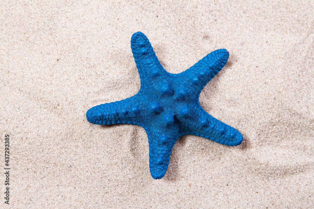 blue starfish on the sand close-up top view. Starfish on the beach. Beach summer background with sand, sea and copyspace blue starfish on the sand close-up top view. Starfish on the beach. Beach summer background with sand, sea and copyspace