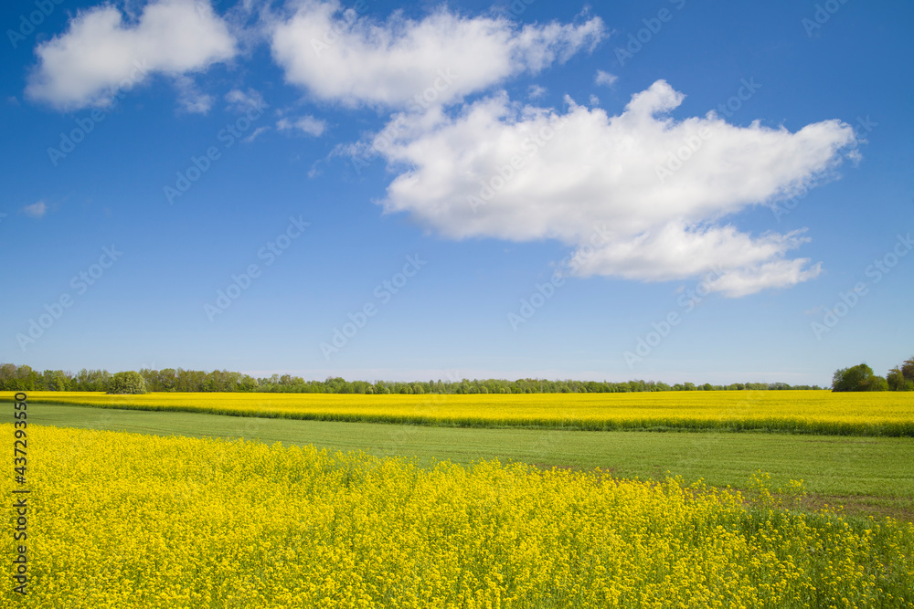 photo of beautiful fields in spring photo of beautiful fields in spring